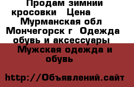 Продам зимнии кросовки › Цена ­ 500 - Мурманская обл., Мончегорск г. Одежда, обувь и аксессуары » Мужская одежда и обувь   
